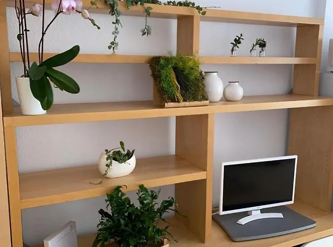 דירה Estudio Soleado Y Bien Ubicado *